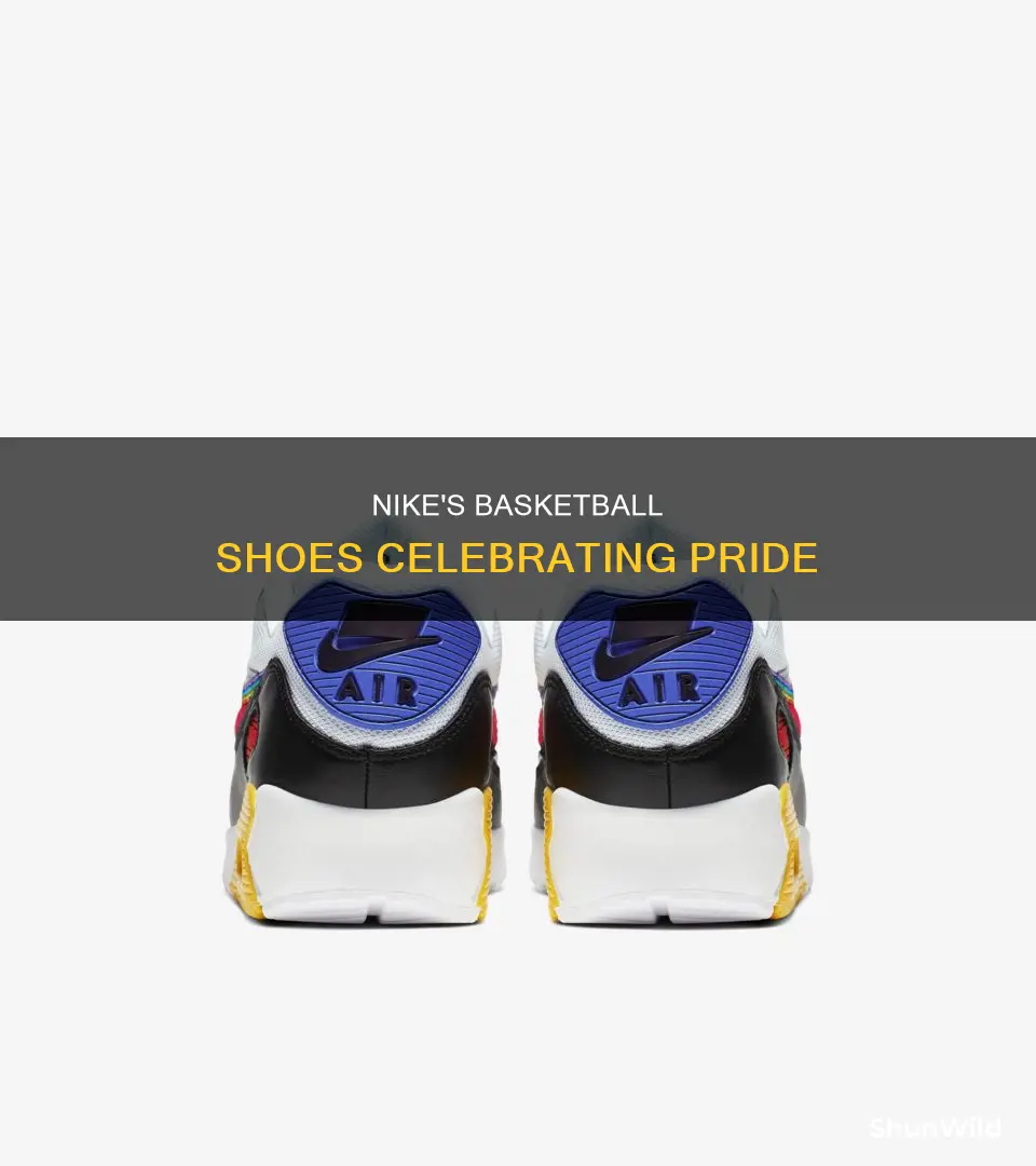 what are the nike basketball shoes called for gay pride