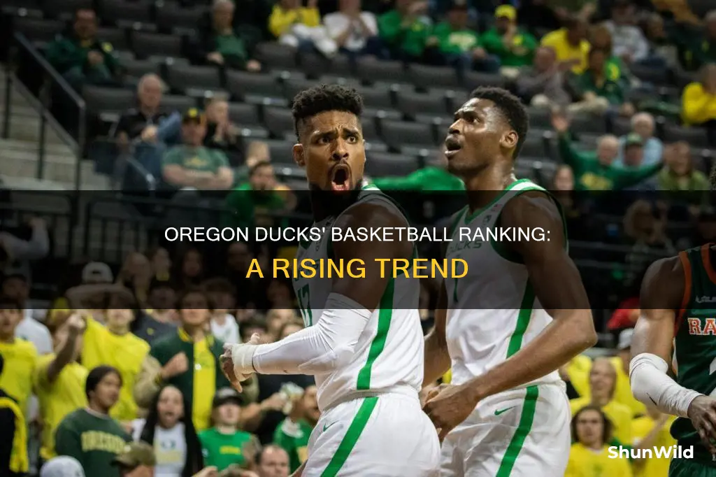 what are the oregon ducks ranked in basketball