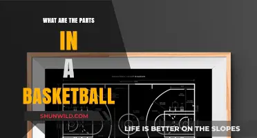 The Anatomy of a Basketball: Understanding Its Parts