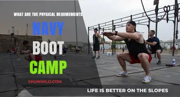 Navy Boot Camp Physical Requirements: What You Need to Know