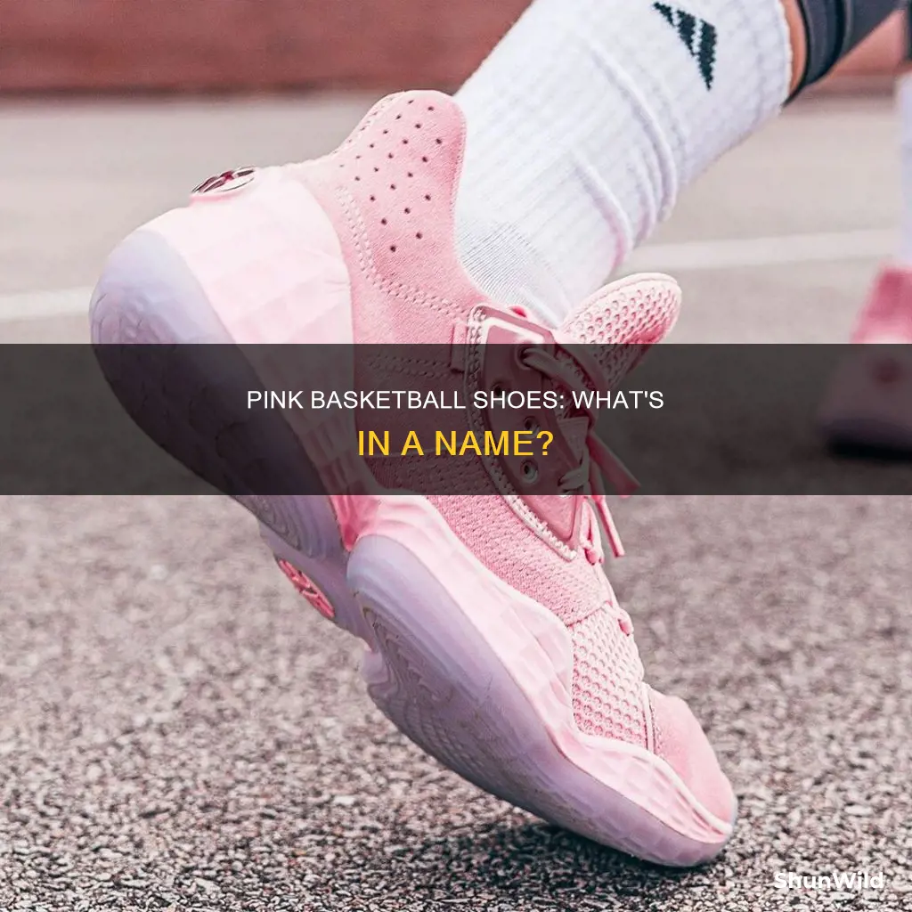 what are the pink basketball shoes called