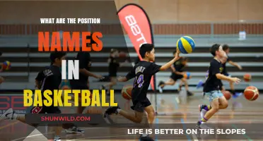 Understanding Basketball: Player Positions and Their Roles