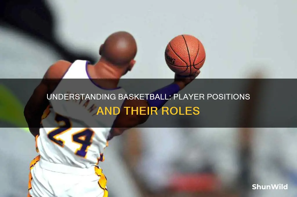 what are the position names in basketball