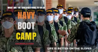 Navy Boot Camp Qualifications: Requirements to Join and Succeed