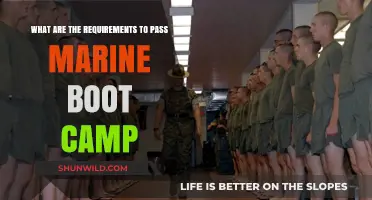 Essential Requirements to Successfully Complete Marine Boot Camp Training