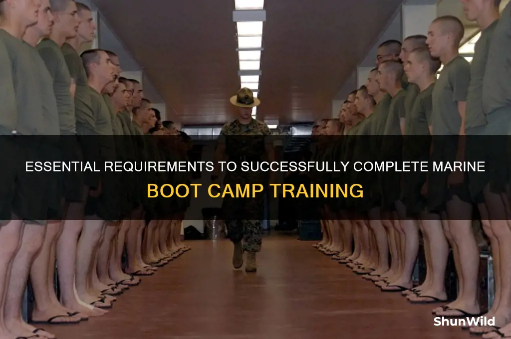 what are the requirements to pass marine boot camp