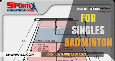 Badminton Singles: Know the Rules to Win