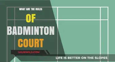 Badminton Court Rules: A Beginner's Guide