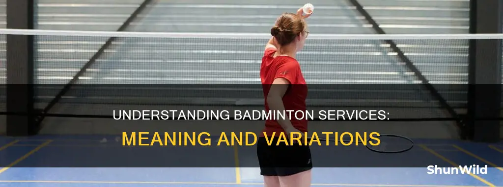 what are the service in badminton and its meaning