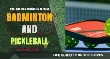 Two Racket Sports: Badminton and Pickleball Similarities