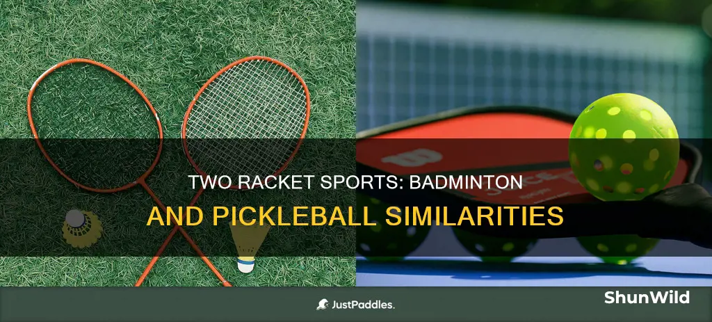 what are the similarities between badminton and pickleball