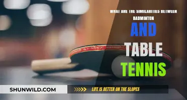 Rackets, Nets, and Similarities: Badminton and Table Tennis