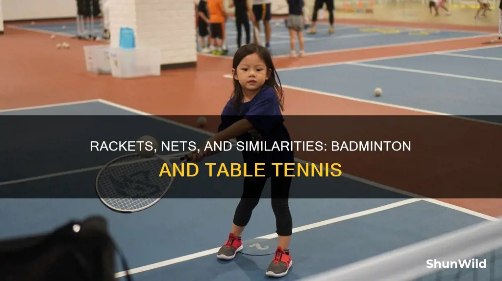 what are the similarities between badminton and table tennis