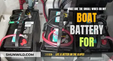 Understanding Your Boat Battery's Small Wires