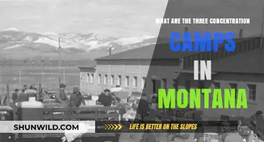 Montana's Dark History: Three Concentration Camps You Should Know