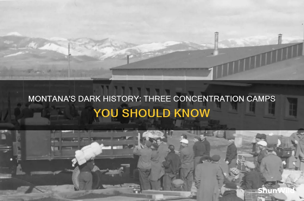 what are the three concentration camps in montana