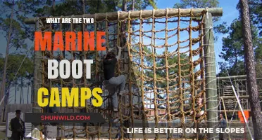 Discover the Two Marine Boot Camps: Locations, Training, and Insights