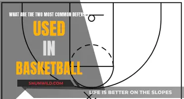 Defending the Paint: Basketball's Top Two Defensive Strategies