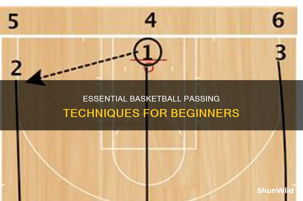 what are the types of basketball passes