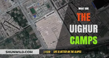 Understanding the Uyghur Camps: China's Controversial Detention Centers Explained