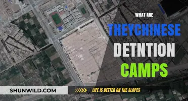 Unveiling China's Detention Camps: Understanding the Uyghur Crisis