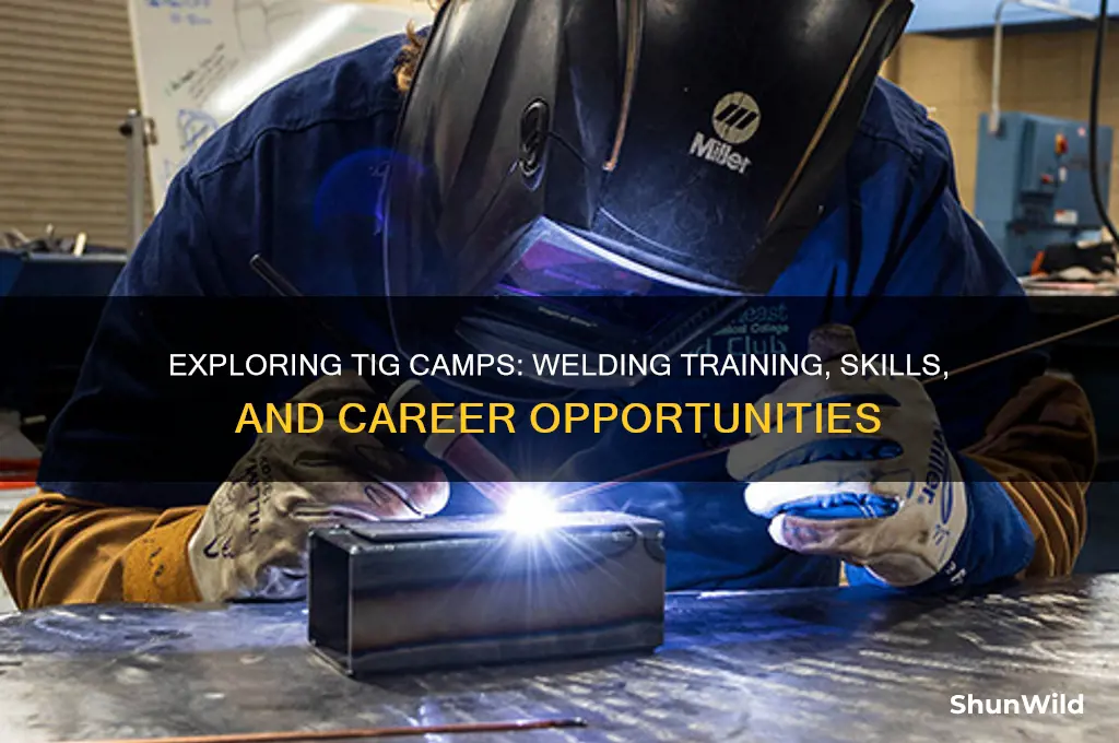 what are tig camps