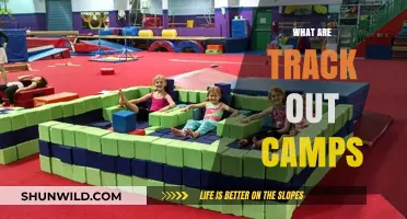 Exploring Track Out Camps: Fun, Learning, and Adventure for Kids