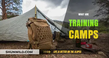 Exploring Training Camps: Purpose, Benefits, and Essential Components