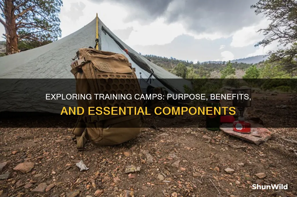 what are training camps