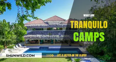 Discover Tranquilo Camps: Your Ultimate Relaxation and Adventure Retreat