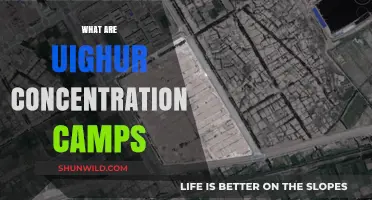 Unveiling the Uighur Crisis: Inside China's Controversial Detention Camps