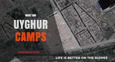 Understanding Uyghur Camps: China's Controversial Detention Centers Explained