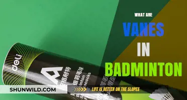 Understanding Badminton Racket Vanes: Ultimate Guide