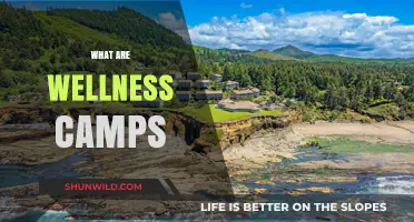 Discover Wellness Camps: Holistic Retreats for Mind, Body, and Soul