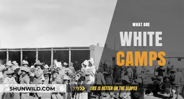 Understanding White Camps: Origins, Purpose, and Modern-Day Relevance Explained