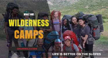 Exploring Wilderness Camps: Nature-Based Therapy for Personal Growth and Healing