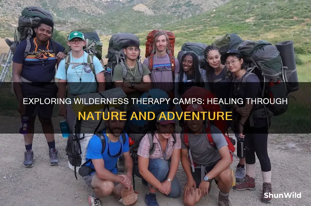 what are wilderness therapy camps