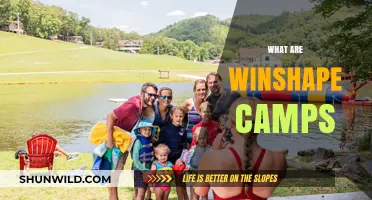 Discover WinShape Camps: Faith, Fun, and Growth for Kids