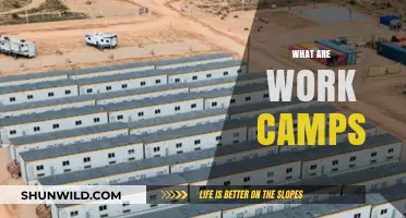 Understanding Work Camps: Purpose, Structure, and Impact Explained
