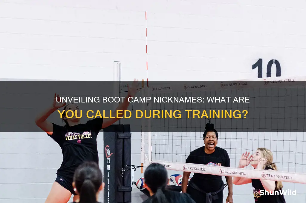 what are you called in boot camp