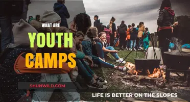 Exploring Youth Camps: Benefits, Activities, and Impact on Teenagers