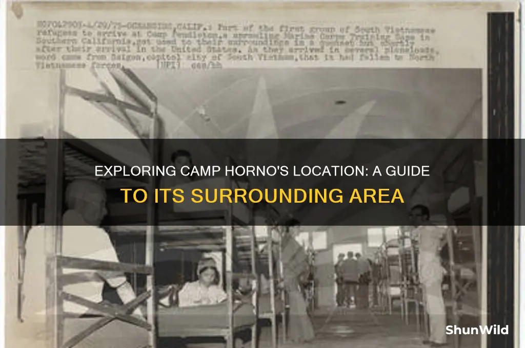 what area is camp horno