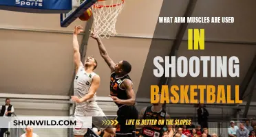 Shooting Form: Arm Muscles for Basketball Success