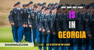 Georgia's Army Boot Camp: Location, Training, and What to Expect
