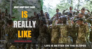 Army Boot Camp Unveiled: Realities, Challenges, and Transformations