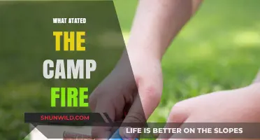 Unraveling the Devastating Causes Behind the Camp Fire's Ignition