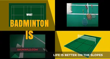 Badminton: A Beginner's Guide to the Sport