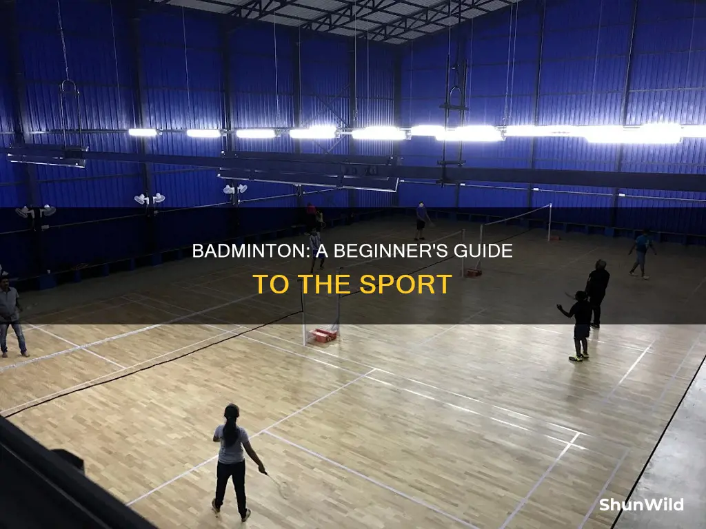 what badminton is