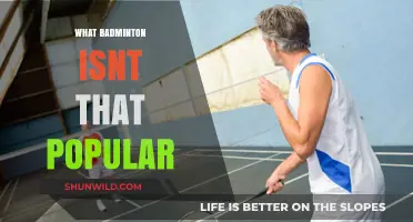 Why Badminton Isn't Soaring High