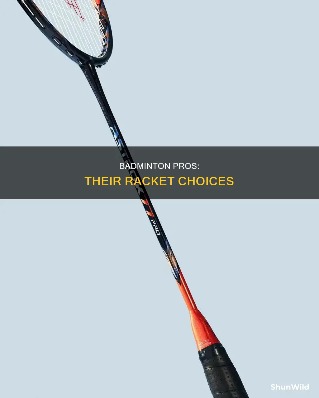 what badminton racket do pros use